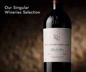 Pago de Capellanes Bodegas Singulares